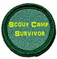 Girl Scout Camp Survivor: Why you should volunteer at scout camp.